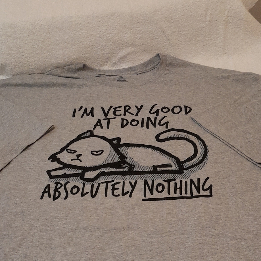 Gray and Black Cat Clothing Accessory